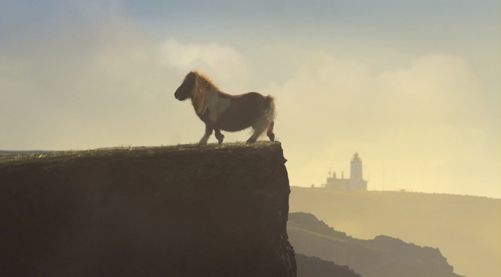 VideoExtra, Shetlandsponny, Michael Jackson, Video